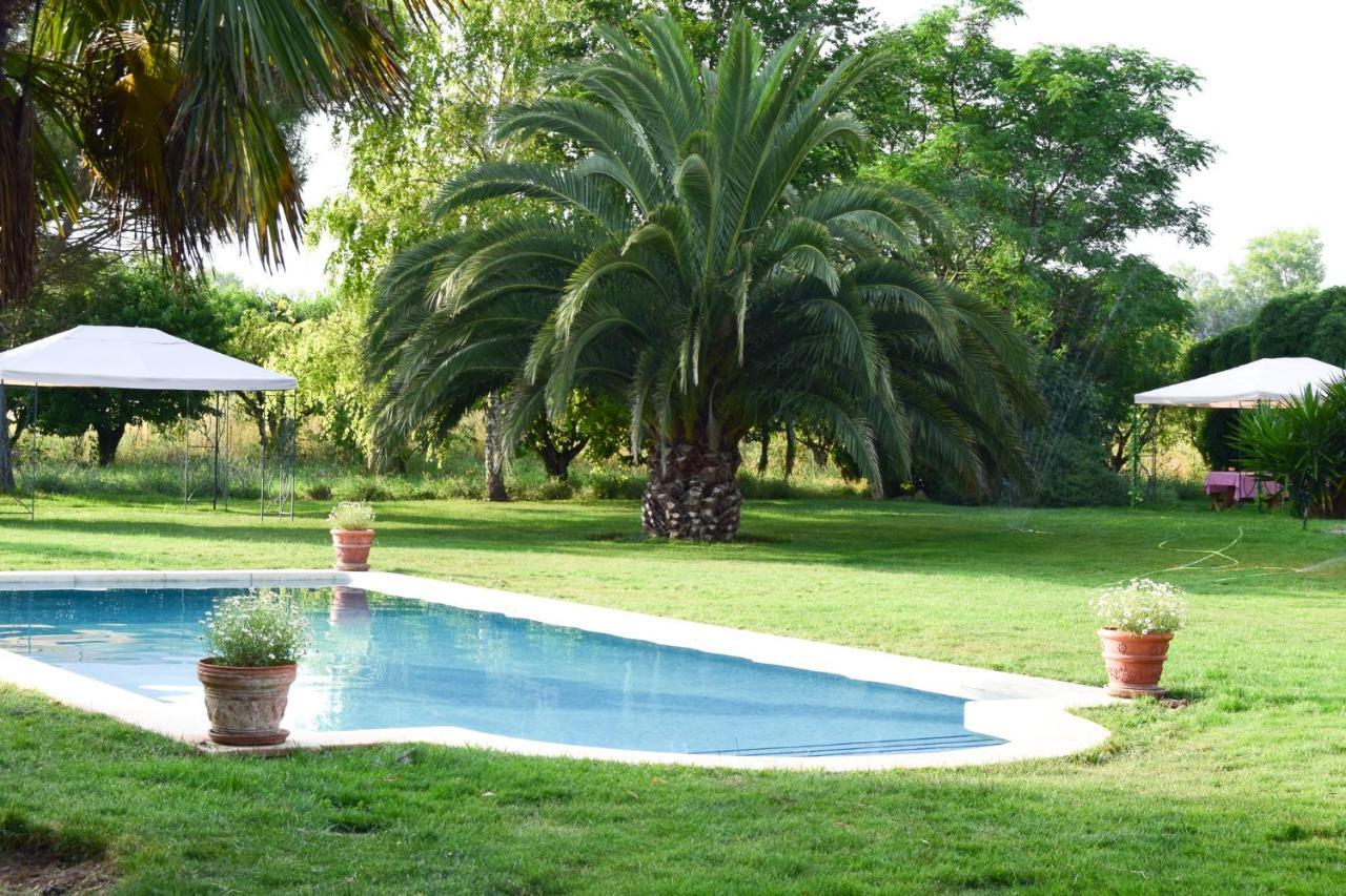 Finca El Consul Logroño Exterior foto
